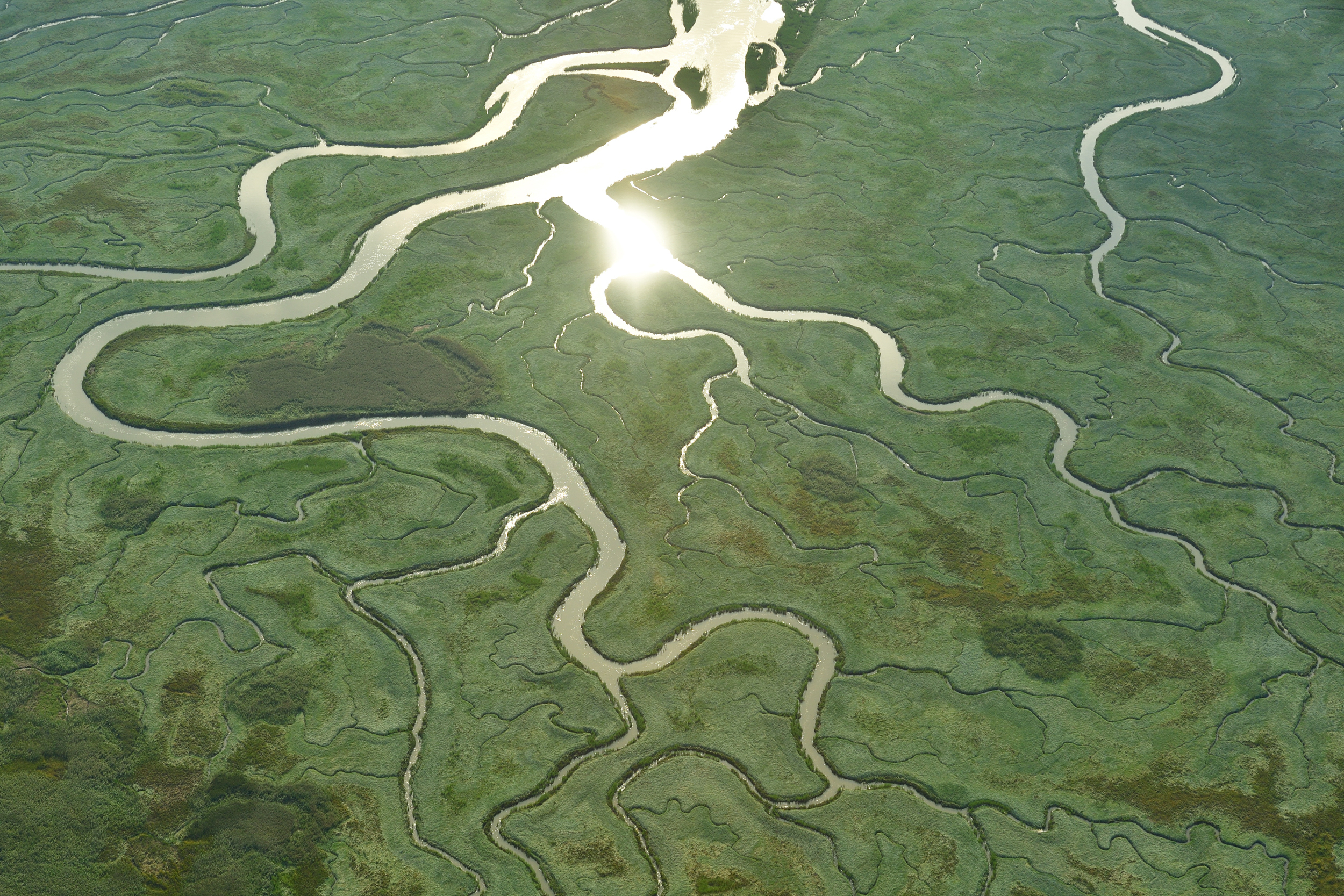 westerschelde